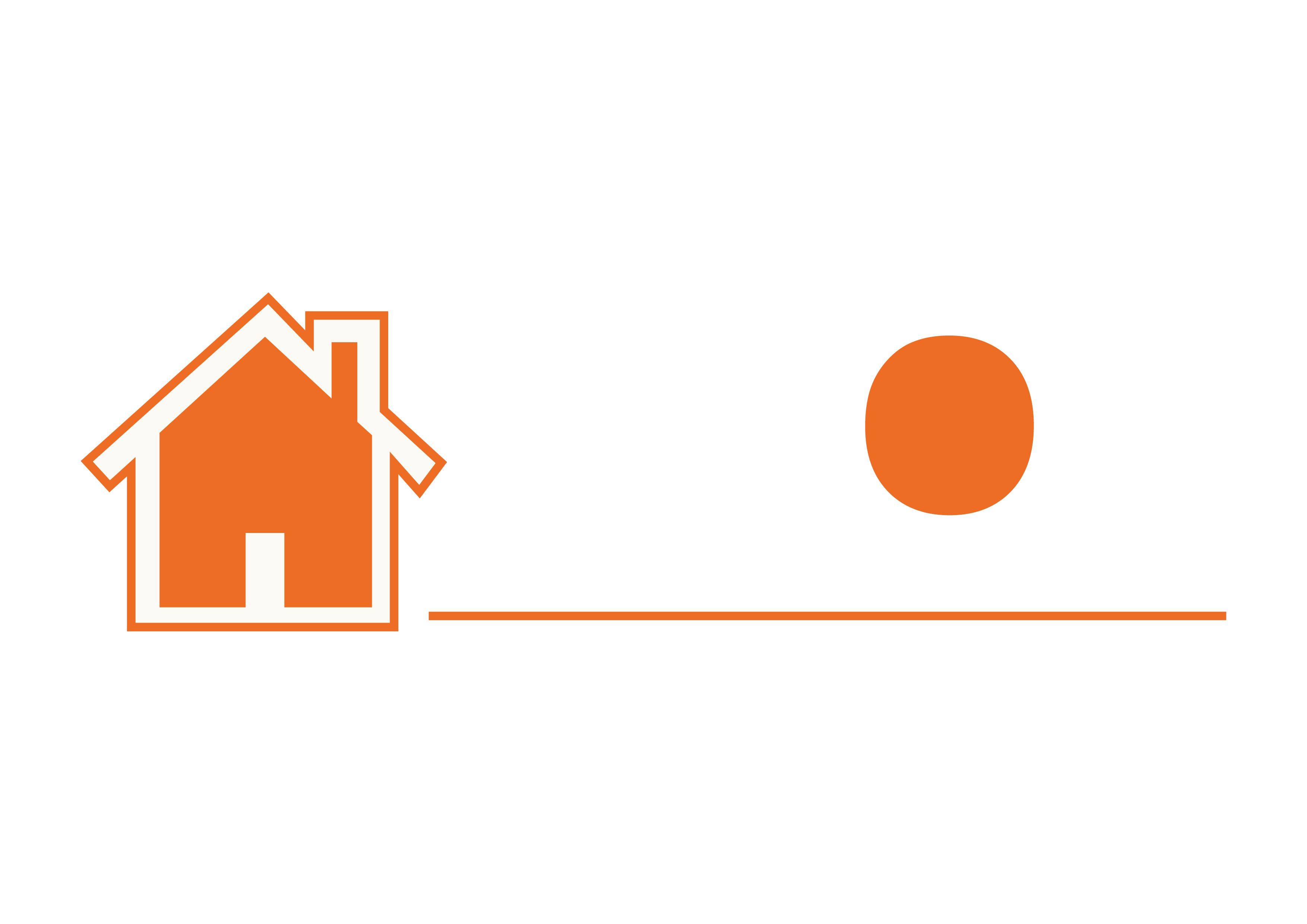 Vigor Kingdom